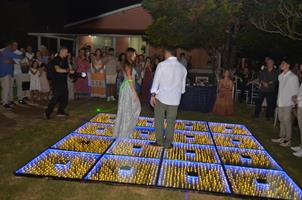 Plantas: imagem 2 de 15